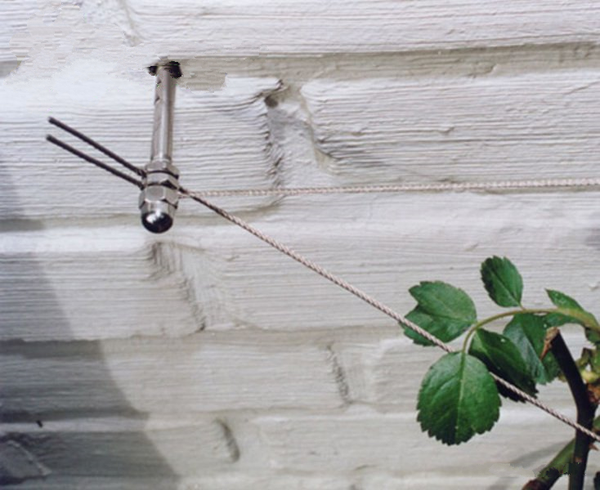Rankhilfe für Kletterpflanzen - Seilspanntechnik